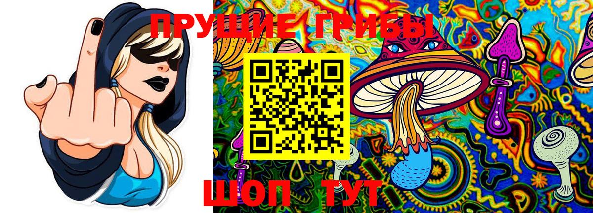 Псилоцибиновые грибы Magic Shrooms  хочу   Жигулёвск  Вход с VPN 
